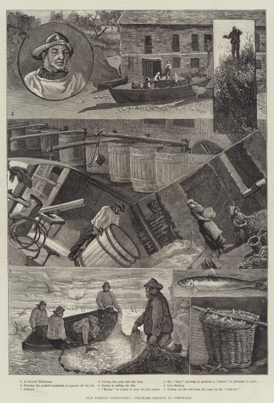 Our Fishing Industries, Pilchard Seining in Cornwall by Percy Robert Craft